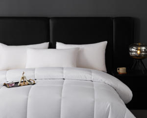 Hot Factory Sanding Winter Simple Eco-friendly Soft Modern Quilt <strong>Duvet</strong> 100% Cotton Polyester Filling Hotel Homestay - Product Image 1