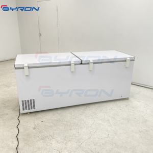 BYRON-Congélateur Ultra Basse Température-30/40/60/65/80 Degrés pour Saumon Poisson de Mer Profonde - Product Image 6