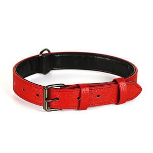 Empêcher la fonte Collier de chien réglable de haute qualité Accessoires pour petits animaux de compagnie Grande traction sur la corde - Product Image 4