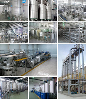 Eenvoudige Bediening Fruitpers Riem Juicer Machine