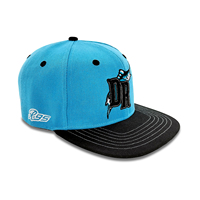 Casquette Snapback Sports Image 2023 Tendance Sportive Bleu Noir Motif Animal Requin Broderie Visière Sergée Personnalisable Extérieur
