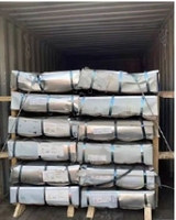 Carton anti-corrosif de tôles d'acier ondulées galvanisées par zinc de haute qualité pour le mur