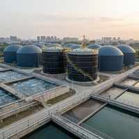 Réacteur automatique de traitement du biogaz à grande échelle 316L 7000CBM pour usine de traitement des déchets organiques et des boues d'élevage