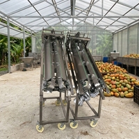 Équipement de décorticage de fèves de cacao fraîches, broyeur de fèves de cacao, machine à décortiquer les fèves de cacao fraîches