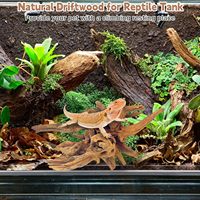 Bois de crevettes PKY, bois en nid d'abeille, racine d'azalée, bois de perche carbonisé, bois de corail, bois flottant pour aménagement d'aquarium