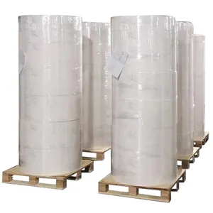 Directe Fabriekslevering Zelfklevende Directe Thermische Overdracht Semi-Gloss Label Bopp Pvc Huisdierenlabel Jumbo Roll Master Roll