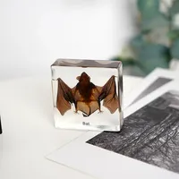 Poids-papier en forme de chauve-souris, spécimen animal, collection de taxidermie, intégré dans un bloc de lucite transparent, spécimen encadré