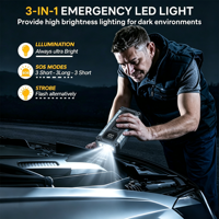 Démarreur d'urgence portable 12 V pour batterie de voiture, pour jusqu'à 10 L de diesel ou 7 L d'essence