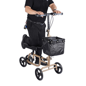 Qinda Rollator <b>Walker</b> Four Wheel With Seat And Basket For <b>Elderly</b> Mobility Aid - Product Image 1