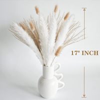 Rangkaian Bunga Kering Plastik Daun Pampas Beige Tahan Air Gaya Bohemian untuk Paskah, Halloween, Pernikahan, Natal, Thanksgiving, Dekorasi Rumah