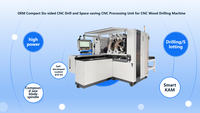 CNC Sechsseitige Hochgeschwindigkeits-Automatik-Stanz- und Bohrmaschine für Industrielle Schrankherstellung Möbel OEM Motor mit Doppelspindel