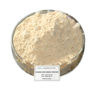 מכירה לוהטת חיוני חיטה גלוטן חלבון Hydrolyzed חיטה חלבון אבקת 20kg עבור מזון חיוני חלבון חיטה לבודד - Product Image 1