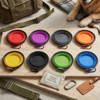 Bol pliable pour chien en silicone TPE personnalisé avec logo, portable, pour voyage, eau et nourriture, gamelle pour animaux de compagnie