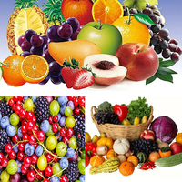 Roestvrijstalen Centrifugaal Roterende Groentewas Dehydratator Machine Industriële Fruit Dehydrator Machine