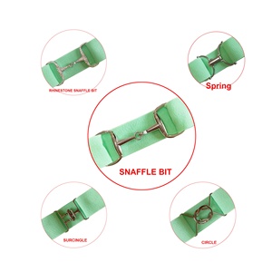 Cintura Equestre Elasticizzata a Vita Alta da 3,8 cm per Equitazione con Fibbia a Morso, Incisione Logo Gratuita, Tinta Unita, Nessun MOQ - Product Image 5