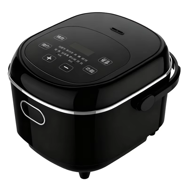 Multifunctional Compact 8-in-1 Rice Cooker with 2.5L Ceramic Inner Pot, Portable Handle, 24-Hr Delay Timer, for Steam, Easy Meal
