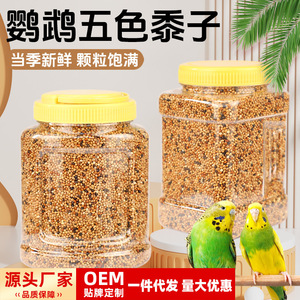 Millet jaune décortiqué pour perroquets, céréale ronde, alimentation pour oiseaux, usage général, durable, origine Shandong - Product Image 5