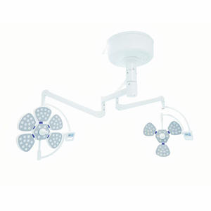 Lampe d'examen sans ombre à double tête en acier OEM IN-103 pour clinique dentaire, lumière murale pour salle d'opération - Product Image 6