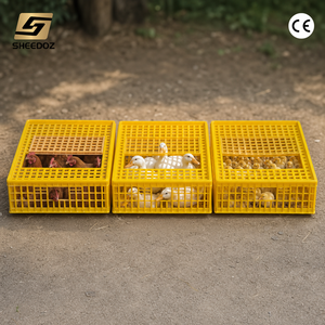 Jaula <span class=keywords><strong>de</strong></span> Plástico Apilable para Transporte <span class=keywords><strong>de</strong></span> Aves <span class=keywords><strong>de</strong></span> Corral al por Mayor, para Pedidos a Granel y Suministro a Distribuidores - Product Image 4