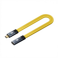 Câble d'extension FPC plat Type-C mâle-femelle 100W PD 5A Charge rapide 20 Gbps OTG Vidéo audio 8K VR Ordinateur portable Téléphone portable Cuivre pur
