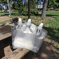 Pochettes transparentes jetables à bec verseur / Sachets d'emballage personnalisables pour boissons liquides imprimés en héliogravure avec bec verseur d'angle supérieur en PE/Nylon/PET