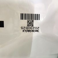 Continúa Impresora eléctrica TTO Sobreimpresora de transferencia térmica con cabezal de impresión de 53mm Impresora de fecha y lote