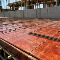 Panneaux de contreplaqué rigides et résistants pour coffrage en béton, imperméables, pour la construction de conteneurs en béton coulé sur place, emballage prêt à l'emploi