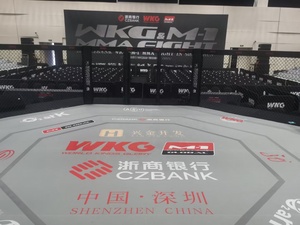 Jaula de Competición Profesional para MMA, Serie ROCSON <span class=keywords><strong>AOSON</strong></span> W, de Acero, para UFC e IMMAF - Product Image 3