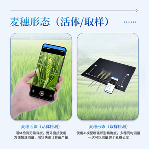 Laiyin Technology Wheat Phenotyping Instrument IN-XM01 IN-XM04 Ear Count And Morphology Analyzer For Agricultural Research - Product Image 5