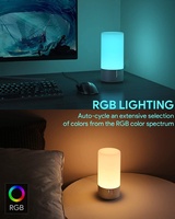 VISION Lighting Factory Touch Contral RGB et Steps Gradation Led Night Lamp Lampe de table LED personnalisée