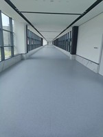 Direkt vom Hersteller Moderner 2mm 3mm Klick-Antirutsch-Verschleißfester Wasserdichter PVC-Vinyl-Bodenbelag in Rollenform für Hotel und Schule