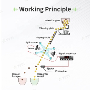 Wesort工厂价格黑蒜米大豆坚果加工色选机用于缅甸水果和蔬菜分拣 - Product Image 3