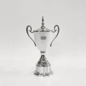 Trofeo chapado en oro rojo verde, premios, actividades de recuerdo, competición deportiva, premios de campeón, trofeo de Metal con orejas grandes dobles - Product Image 6
