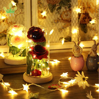 Kit de roses La Belle et la Bête Enchantée Rose en soie rouge avec lumière LED Pétales tombés dans des feuilles vertes Dôme en verre sur socle en bois