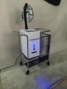 Wss 2025 Beauty Salon Equipment <b>Tools</b> and Heater Micro Mist Hair Steamer Hair Spa Cream Hair Equipment Beauty Salon - Product Image 5