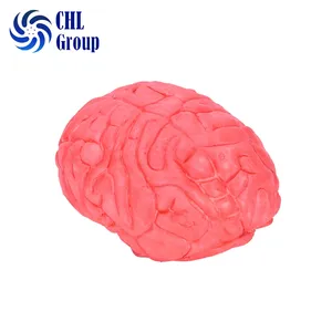 Nouveauté d'usine, jouet de soulagement de balle anti-stress en mousse PU, logo personnalisé pour le cerveau rouge