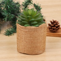 Sacs écologiques en jute à double couche avec cordon de serrage en PE pour plantes succulentes en pot
