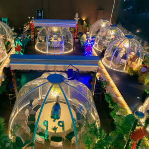Carpa domo de cristal para exteriores, casa burbuja para 6-8 personas, carpa de lujo con estructura rígida para las cuatro estaciones, para jardín, patio, restaurante, hotel - Product Image 1