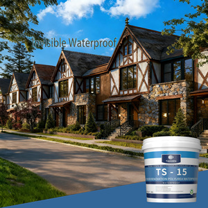 TS-15 Polyurée Imperméabilisante pour Murs Extérieurs de Villas Modernes Noir Restaure l'Apparence Originale Durable Écologique pour Sols en Carrelage et Sous-sols - Product Image 1