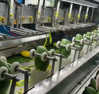 Commerciële automatische mangoschilmachine voor fruit en groenten, groene mangoschilmachine