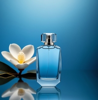Flacons de parfum en verre transparent de haute qualité 100 ml, carrés, vaporisateur à pompe de luxe, vente en gros, vides, avec diffuseur à roseaux