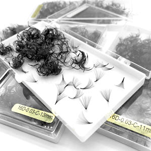 Vente en gros Éventails lâches faits à la <span class=keywords><strong>main</strong></span> Promade Base pointue 4D 8D 12D <span class=keywords><strong>Cils</strong></span> pré-fabriqués Ventilateurs 1000 lâches Marque privée Plateaux à <span class=keywords><strong>cils</strong></span> en vrac - Product Image 2