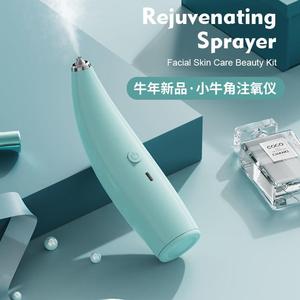Handheld Facial Mist Sprayer 100Ml 500Maha Battery Ultrasonic Hydration Device For Home Use - Product Image 2