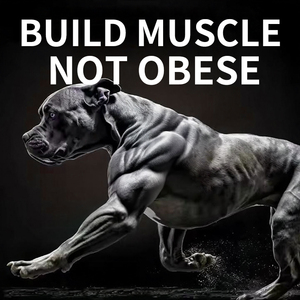 Masticables suaves de ganancia muscular de alta proteína de primera calidad con proteína de suero y polvo de krill para vitaminas/Minerales de apoyo inmunológico-Todas las razas de perros - Product Image 6