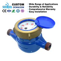 Compteur d'eau SRJ en fonte avec anneau en laiton, multi-jets DN15-250, débit R100 personnalisable, protection numérique IP65, OEM, garantie 2 ans