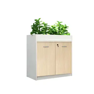 Stylish Workstation Wooden Storage Furniture Modern2 Doors Lockable Office Filing Cabinet With Planter Box