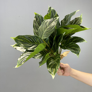 Lifelike Faux Greenery Evergreen <span class=keywords><strong>Calathea</strong></span> Dracaena Plantas Falso Palmeira 14 Folha Artificial Plantas Em Vaso para Decoração Home - Product Image 1