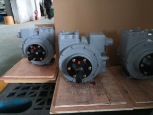 Pompa rotativa della benzina della paletta, pompa dell'olio diesel del Blackmer - Product Image 5