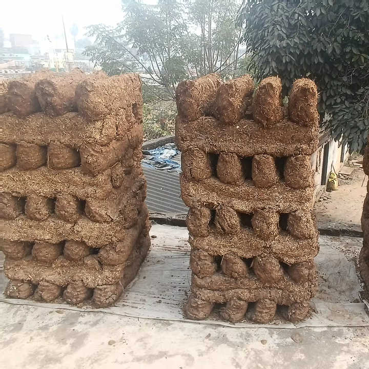 Organic Cow Dung Powder Fertilizer for Sustainable Farming & Gardening Cow Dung Powder Natural Sealed Bags or Containers 2 Years
