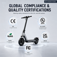 Trottinette électrique pour adultes, pliable, capacité 200 kg, cadre en alliage d'aluminium, roues de 10 pouces, pour la livraison